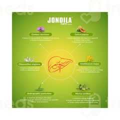 Medisynth Jondila Forte Syrup 450ml