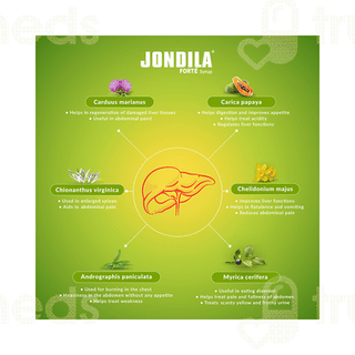 Medisynth Jondila Forte Syrup 450ml