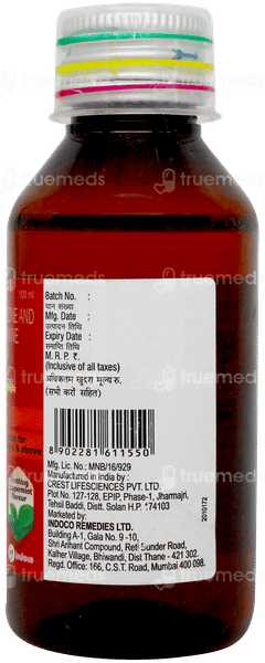 Dropizin Peppermint Flavour Syrup 100ml