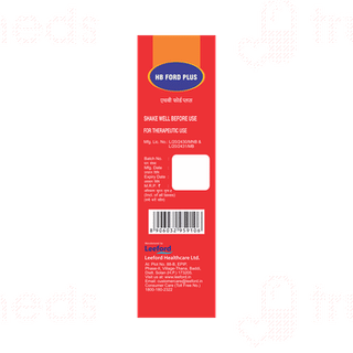 Hb Ford Plus Orange Flavour Syrup 300 ML