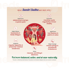 Dhanwantri Pharmaceutical Sundri Sudha Syrup 380ml