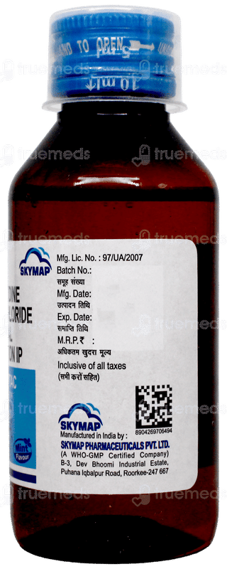 Skytac Mint Flavour Solution 100Ml