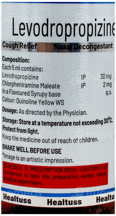 Healtuss Black Currant Flavor Syrup 100ml