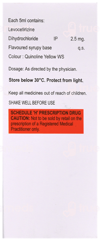 Rhinam Syrup 60Ml