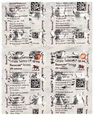 Banocide Tablet 20