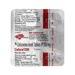 Cebox 250 Tablet 6