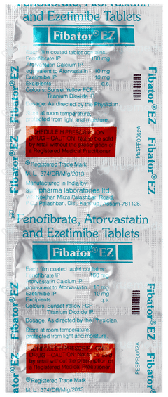 Fibator Ez Tablet 10
