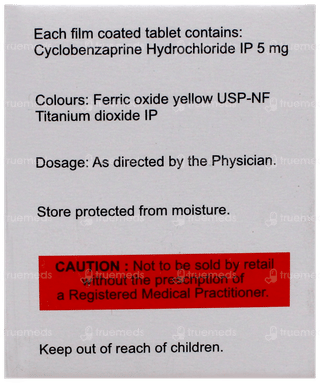 Flexabenz Tablet 10