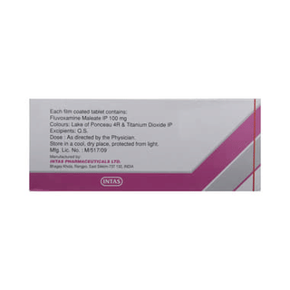 Frext 100 MG Tablet 10