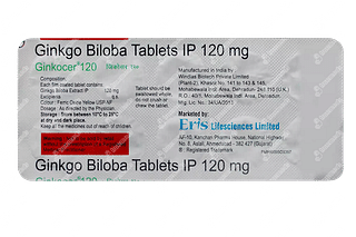 Ginkocer 120 Tablet 10