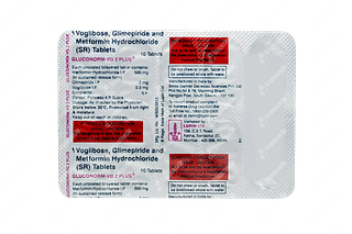 Gluconorm Vg Plus 0.3/500/2 MG Tablet Sr 10