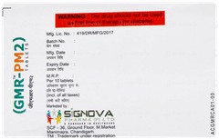 Gmr Pm2 Tablet 10