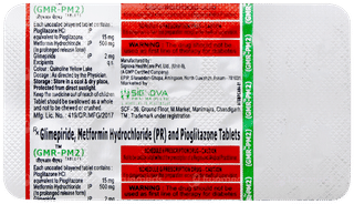 Gmr Pm2 Tablet 10