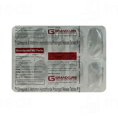 Grandpride M2 Forte Tablet 10 Grandpride M2 Forte Tablet 10
