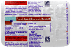 Gudgesic Plus Tablet 10