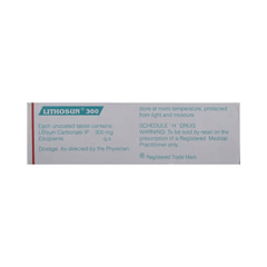 Lithosun 300 Tablet 10