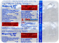 Megavog Mf 0.3/500 Tablet 10 Megavog Mf 0.3/500 Tablet 10