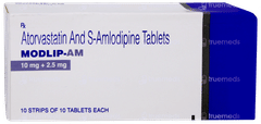 Modlip Am Tablet 10
