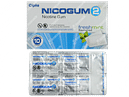 Nicogum 2 Fresh Mint Flavour Sugar Free Nicotine Gum 10