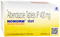 Noworm Chewable Tablet 1