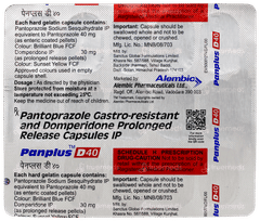 Panplus D40 Capsule 15