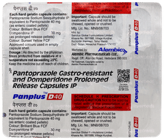 Panplus D40 Capsule 15