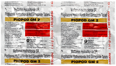 Piopod GM 2 Tablet 10