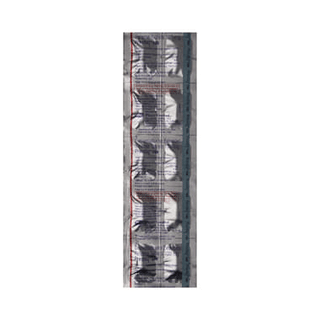 Prestiq 100 MG Tablet 10