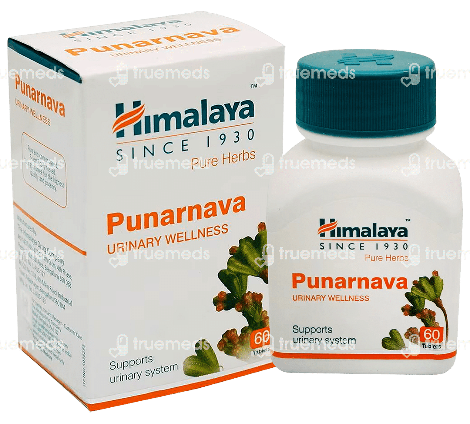 Himalaya Pure Herbs Punarnava Urinary Wellness Tablet 60 - Uses, Side ...