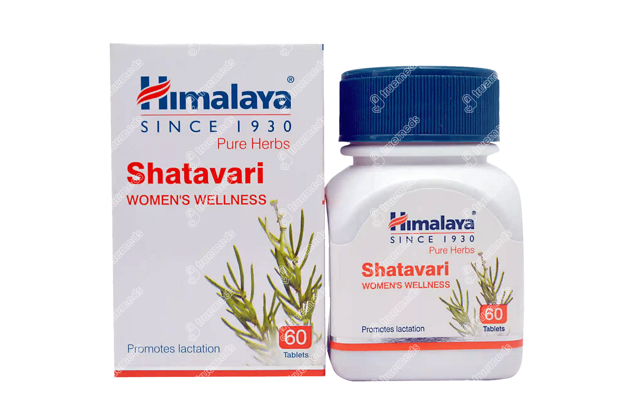 Himalaya Wellness Pure Herbs Shatavari 250 Mg Tablet 60 Uses