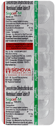Sigcet M Tablet 10