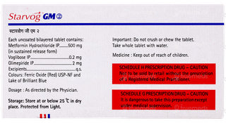 Starvog GM 2 Tablet 10