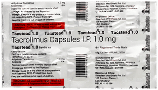 Tacstead 1.0 Capsule 10