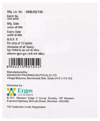 Telefix Am Tablet 15