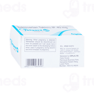 Telgard 40 Tablet 10