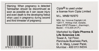 Telgard 40 Tablet 10