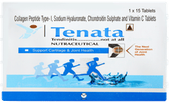 Tenata Tablet 15 Tenata Tablet 15