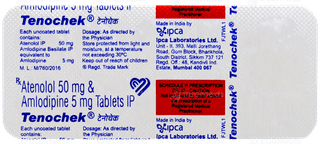 Tenochek Tablet 10