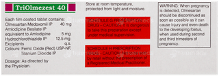 Triolmezest 40 Tablet 10
