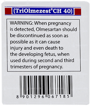 Triolmezest Ch 40 Tablet 10