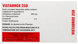 Vistadrox 250 Tablet 10