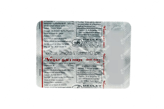 Vogli GM Forte 0.3/500/1 MG Tablet Sr 10