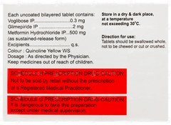 Voglinorm GM 2/0.3 Tablet 10