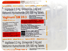 Voglinorm GM 2/0.3 Tablet 10