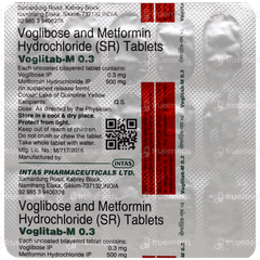 Voglitab M 0.3 Tablet 15 Voglitab M 0.3 Tablet 15