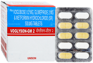 Voglyson GM 2 Tablet 10