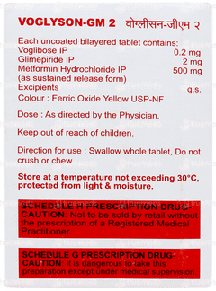 Voglyson GM 2 Tablet 10 Voglyson GM 2 Tablet 10