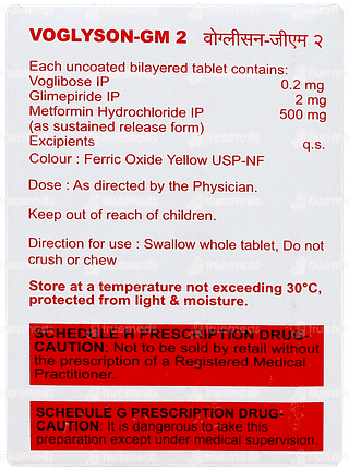 Voglyson GM 2 Tablet 10