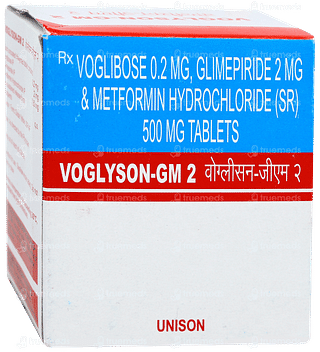 Voglyson GM 2 Tablet 10