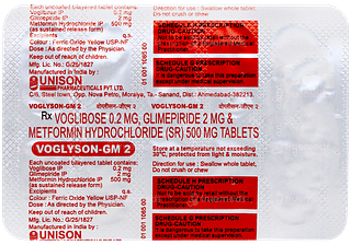 Voglyson GM 2 Tablet 10